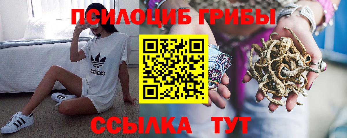 Псилоцибиновые грибы Cubensis Керчь